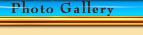 Photo Gallery